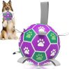 Diman Dog Balls Toys: Soccer Balls for Dogs with Straps, Outdoor Dog Toys, Waterpool Ball, Interactive, Training