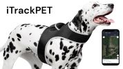 Pocket Dog Collar with GPS Mini Tracking Tool for Live Pet Monitoring Size:L