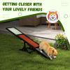 PawHut Wooden Dog Agility Seesaw for Training and Exercise, Platform Equipment Run Game Toy, Weather Resistant Pet Supplies, 71" L x 12" W x 12" H