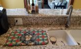 Black and Tan English Toy Spaniel Christmas PoinsettIas Dish Drying Mat Absorbent Dish Drying Mat Pad for Kitchen Counter Dish Drainer Mat for Counter