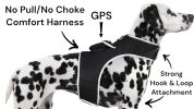 Rechargeable Mini GPS Realtime Pet Tracking Collars for Hunting Dogs Size:XS