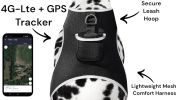 Reputable Water Resilient GPS Tag for Dogs Rechargeable Collar Mount GSM Tracker Size:XS