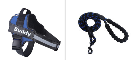 Fashion Simple Pet Leash Chest Strap Set (Option: Blue-XL)