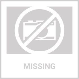 Flea Treatment For Cats Natural Flea And Tick Prevention Supplement For Cats Kittens Chewable Daily Oral Pills With Vitamins 135 Soft Chews Skin & Coa (Option: 1Pcs)