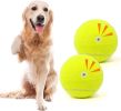 Tennis Ball Dog Toys 2 Pack - 4-Inch Durable and Safe Dog Ball, Sound Output from The Large Tennis Balls for Dogs with Mesh Bag